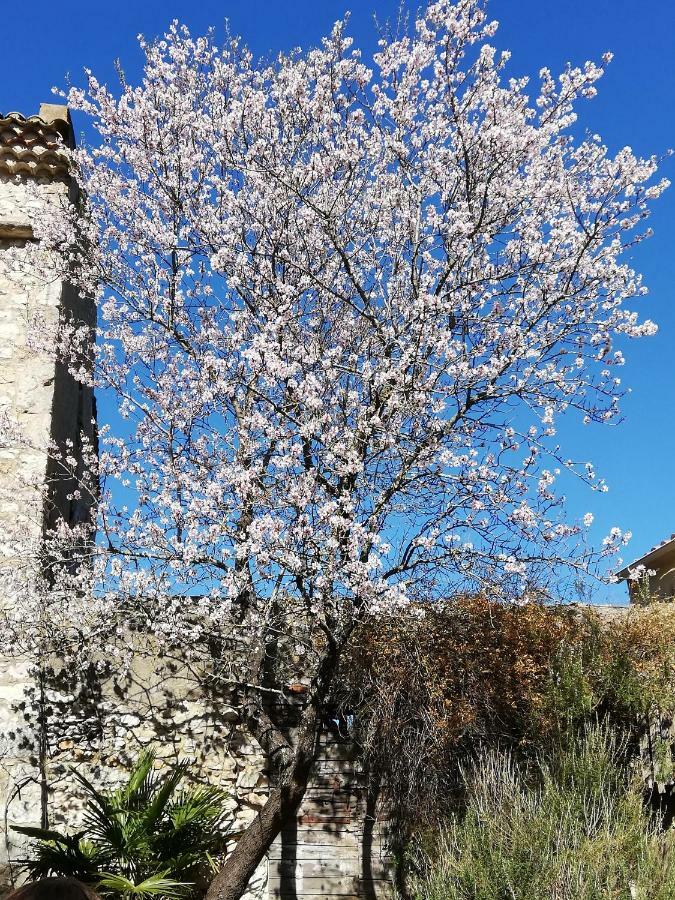 Studio Gard Calme Et Nature Russan Ngoại thất bức ảnh
